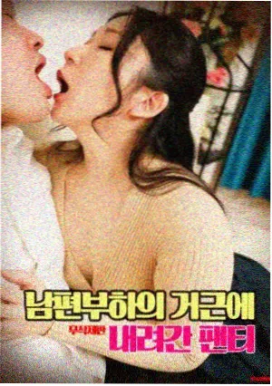 洛丽塔完整版主题解析手册封面